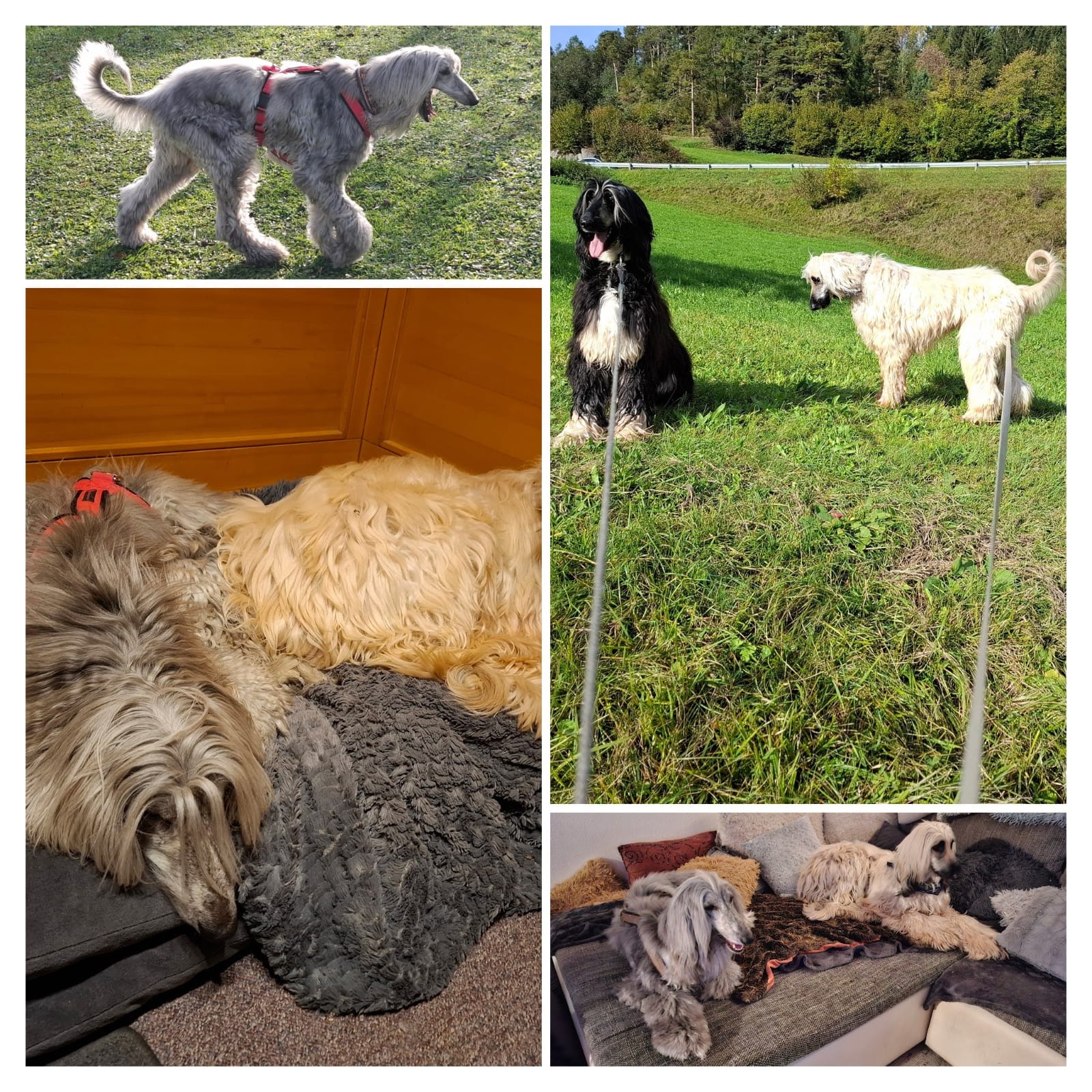 Das Neuste im März 2025